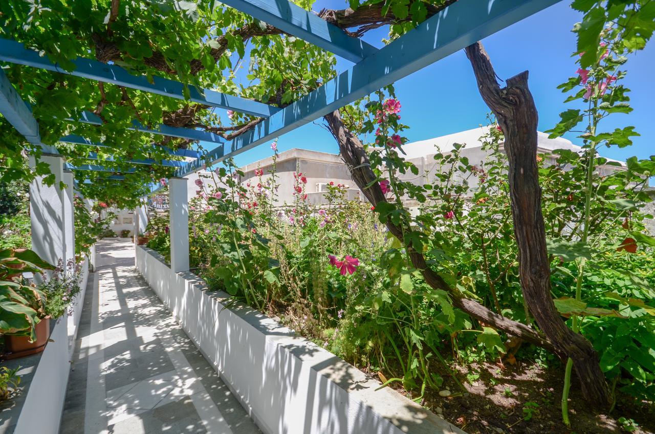 Hotel Anixis Naxos City ภายนอก รูปภาพ